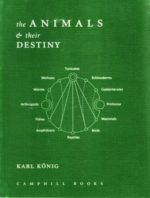 The Animals and Their Destiny