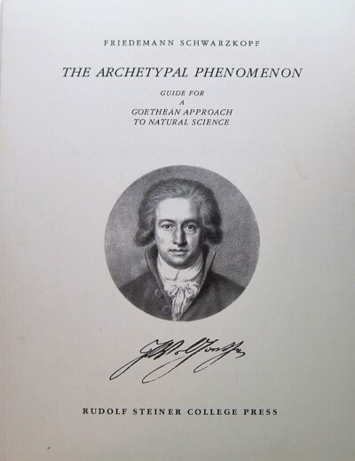 The Archetypal Phenomenon