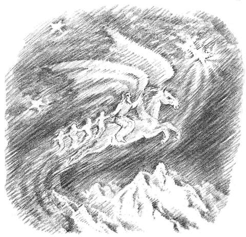 Dr. Rudolf Steiner Bookstore and Marketplace