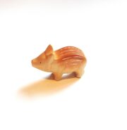 Boar Piglet (Head Up)