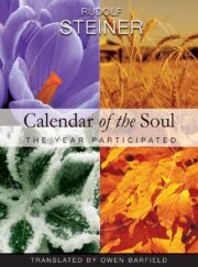 Calendar of the Soul: The Year Participated (CW 40)