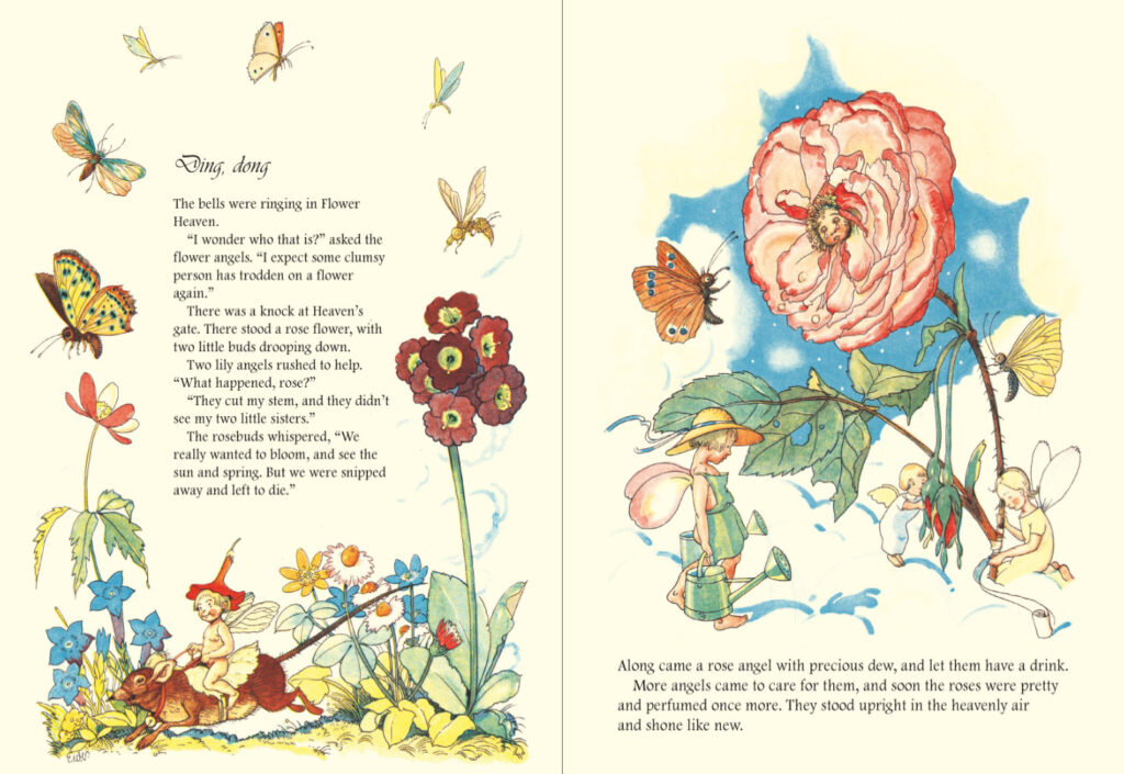 Dr. Rudolf Steiner Bookstore and Marketplace