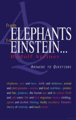 From Elephants to Einstein . . .