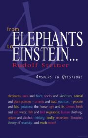 From Elephants to Einstein . . .
