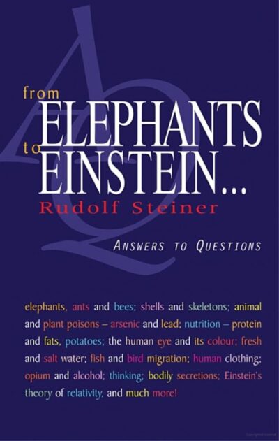 From Elephants to Einstein . . .