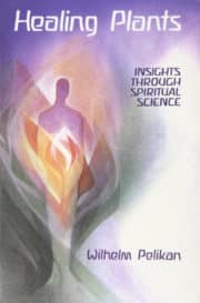 Healing Plants Volume I