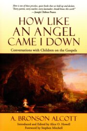 How Like an Angel Came I Down (eBook)