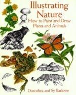 Illustrating Nature Illustrating Nature