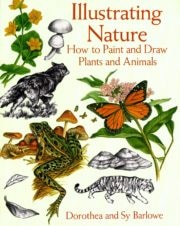 Illustrating Nature