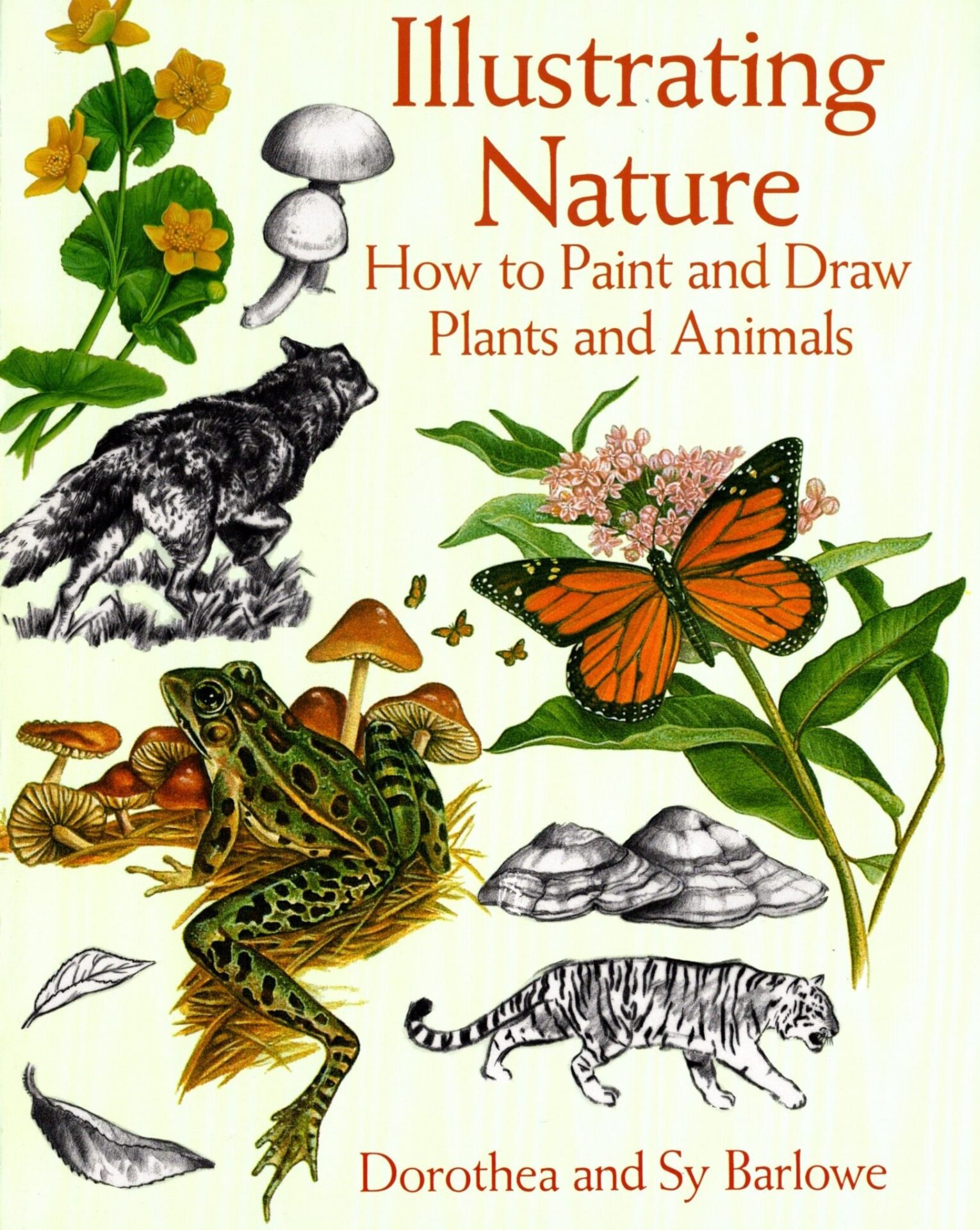 Illustrating Nature