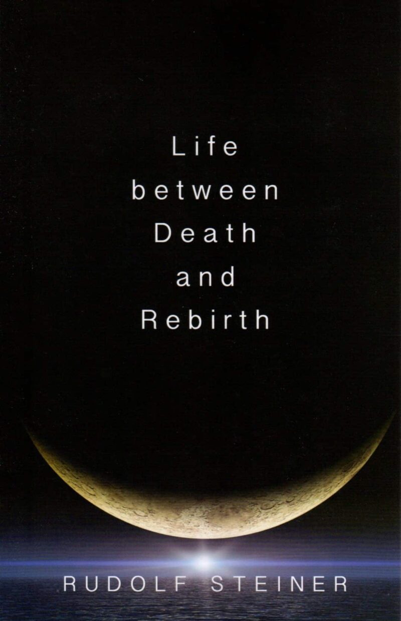 Life Between Death and Rebirth: The Active Connection between the ...