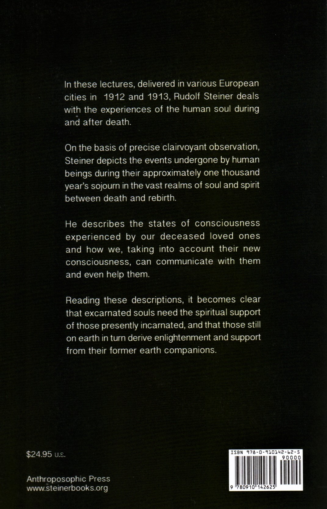 Life Between Death and Rebirth (eBook) - Image 2