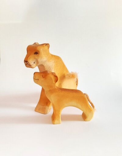 Lion Cub