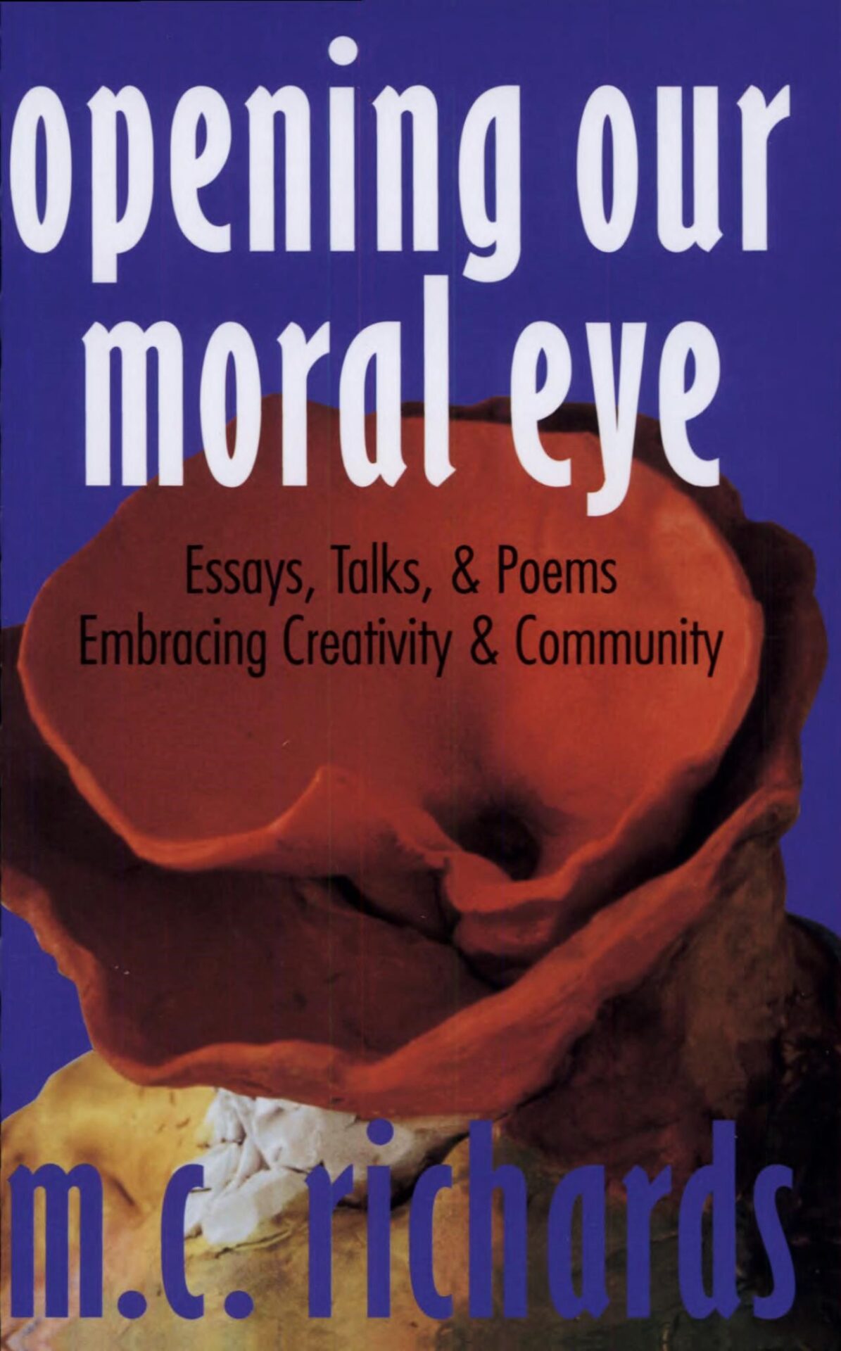 Opening Our Moral Eye