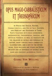 Opus Mago-cabbalisticum Et Theosophicum