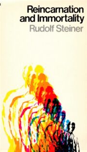 Reincarnation and Immortality