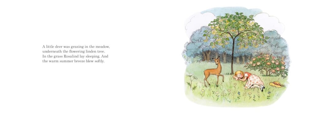 Dr. Rudolf Steiner Bookstore and Marketplace