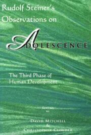 Rudolf Steiner's Observations on Adolescence
