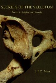 Secrets of the Skeleton (eBook)