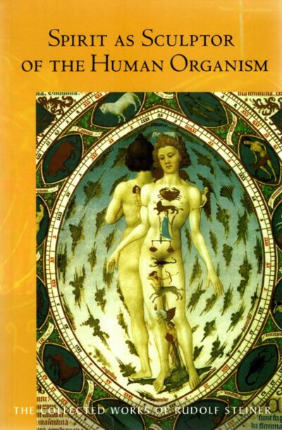 Spirit as Sculptor of the Human Organism