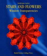 Stars and Flowers: Window Transparencies