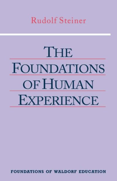 The Foundations of Human Experience (CW 293 & 66)