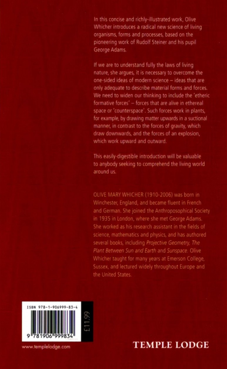 The Heart of the Matter - Image 2