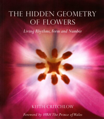 The Hidden Geometry of Flowers