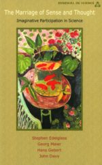 The Marriage of Sense and Thought The Marriage of Sense and Thought