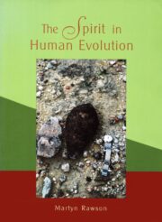 The Spirit in Human Evolution