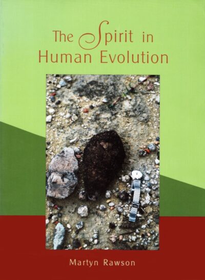 The Spirit in Human Evolution