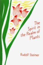 The Spirit in the Realm of Plants The Spirit in the Realm of Plants