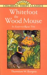 Whitefoot the Wood Mouse