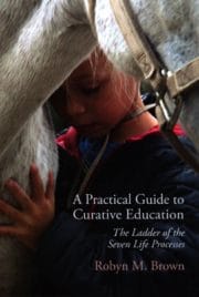 A Practical Guide to Curative Education: The Ladder of the Seven Life Processes