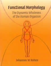 Functional Morphology