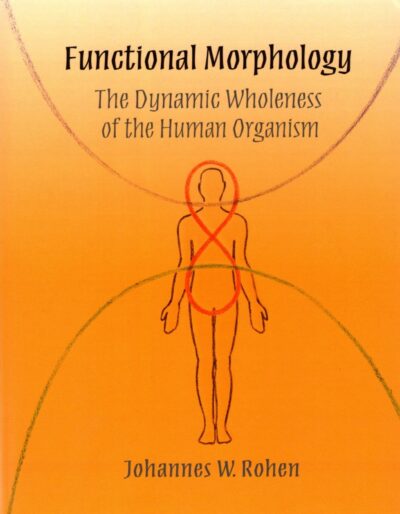 Functional Morphology