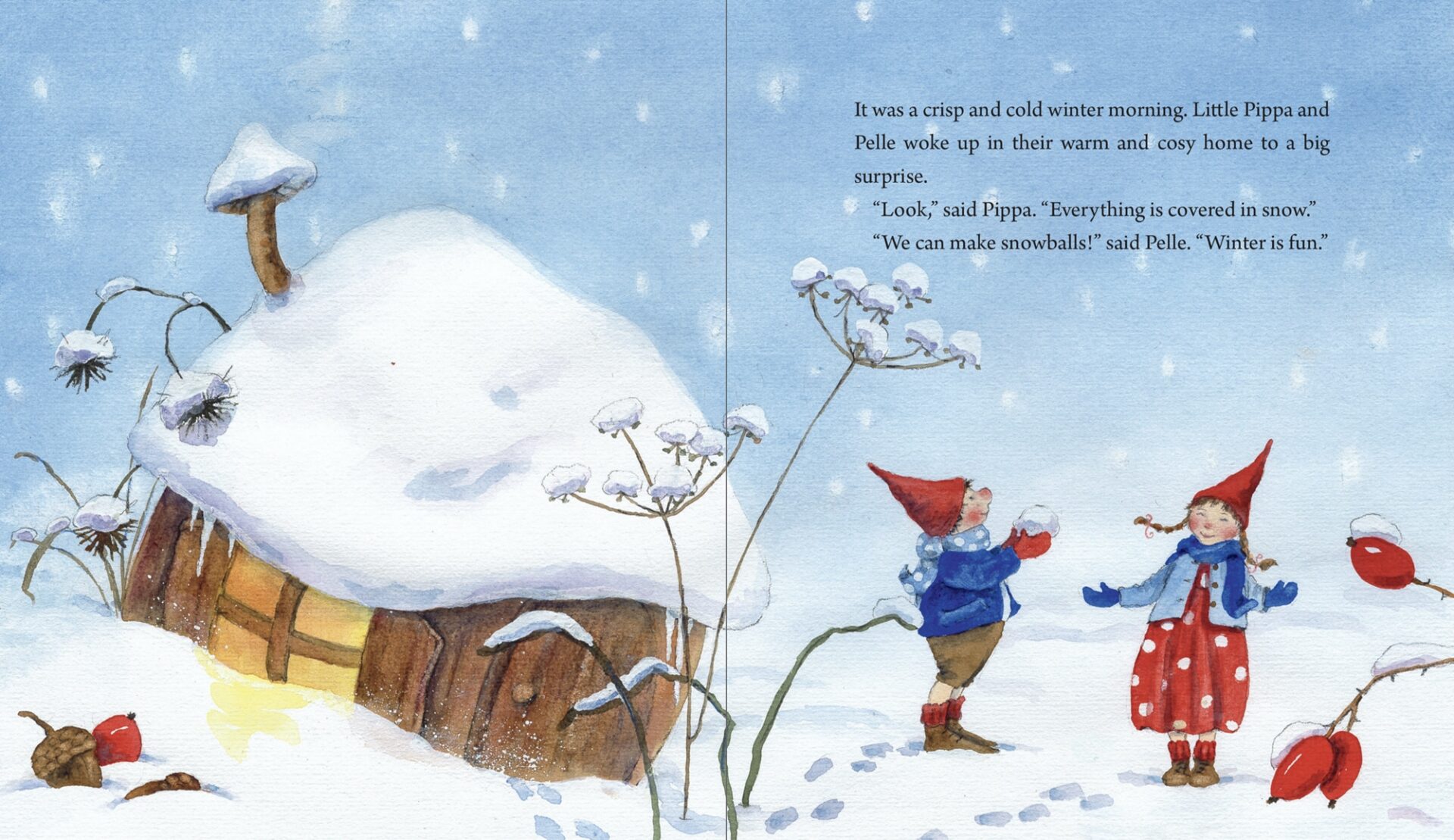 Dr. Rudolf Steiner Bookstore and Marketplace