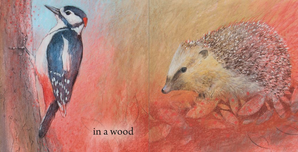 Dr. Rudolf Steiner Bookstore and Marketplace