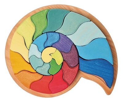 Ammonite Snail Puzzle