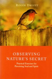 Observing Nature's Secret
