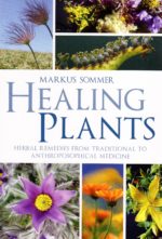 Healing Plants Healing Plants