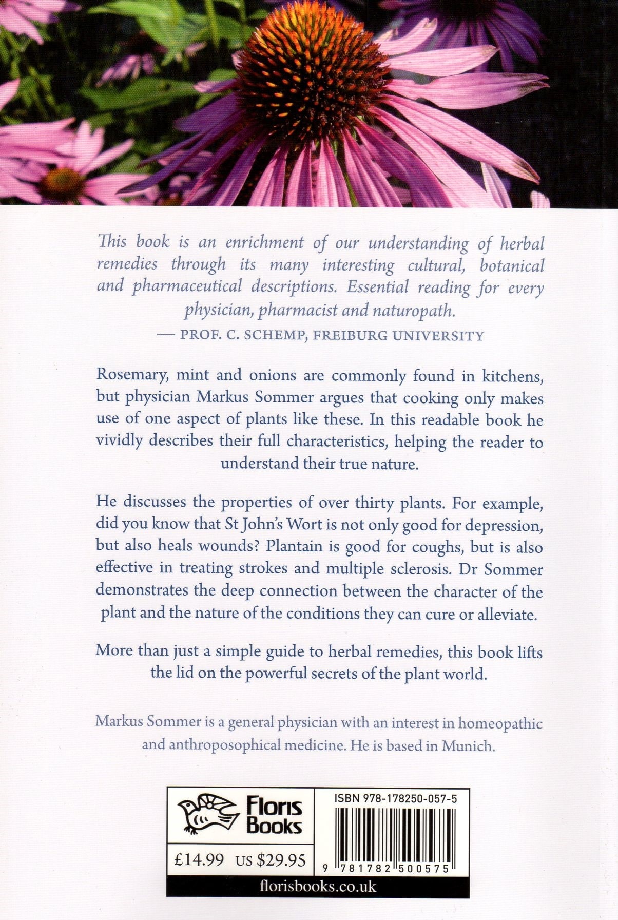 Healing Plants - Image 2