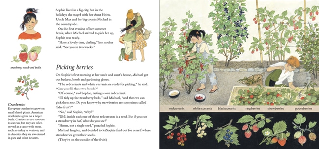 Dr. Rudolf Steiner Bookstore and Marketplace