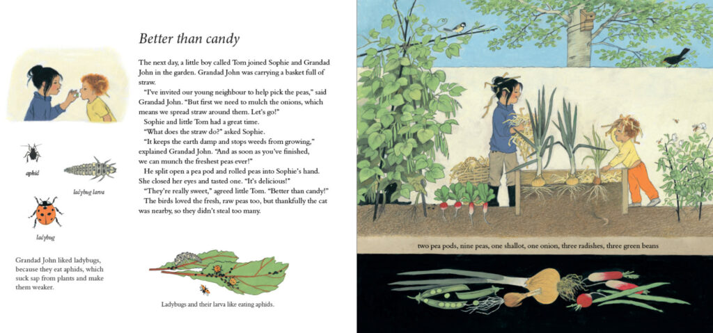 Dr. Rudolf Steiner Bookstore and Marketplace