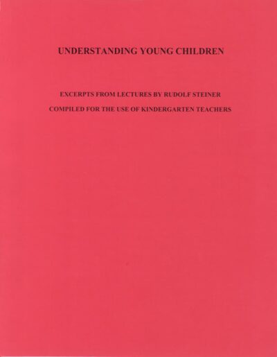 Understanding Young Children