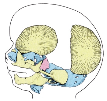 Dr. Rudolf Steiner Bookstore and Marketplace