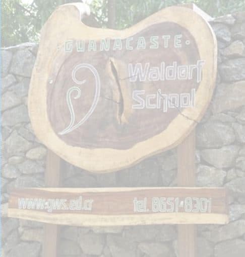 Dr. Rudolf Steiner Bookstore and Marketplace