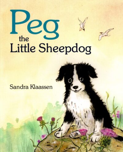 Peg the Little Sheepdog