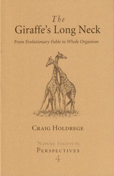 The Giraffe’s Long Neck