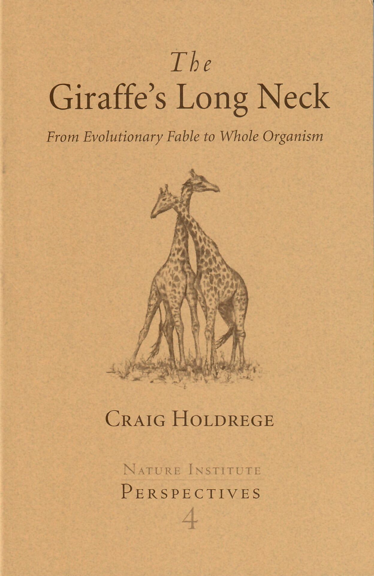The Giraffe’s Long Neck